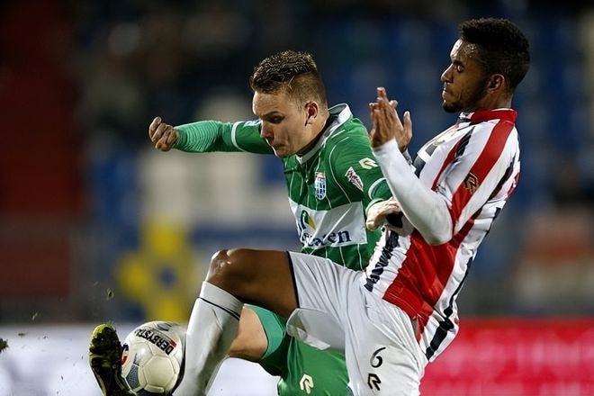 历史波动数 历史波动数