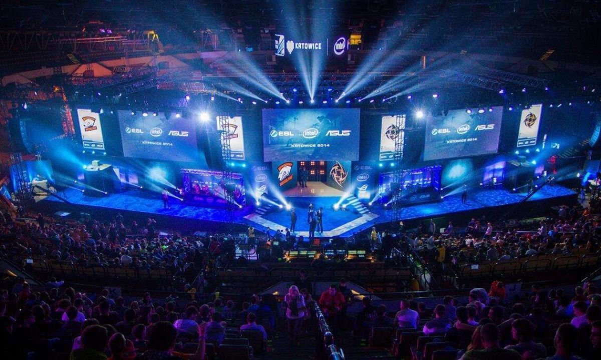 从职业生涯 从职业生涯